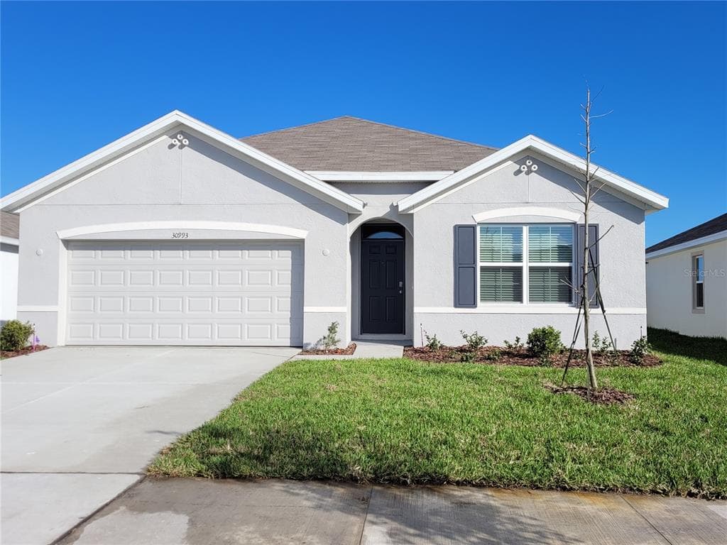 30993 PENNY SURF LOOP WESLEY CHAPEL, FL 33545