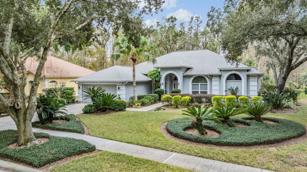 5003 BELMONT ROAD TAMPA, FL 33647