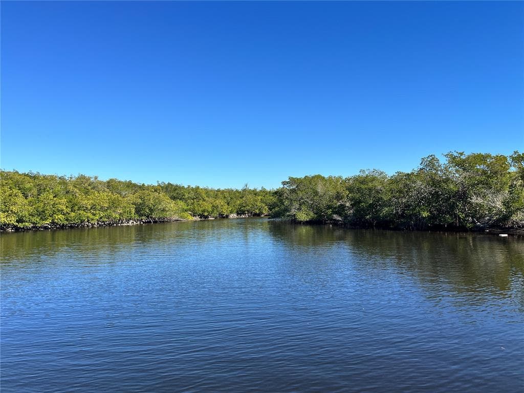 7259 MOUNT PINEY ROAD NE UNIT 710 ST PETERSBURG, FL 33702