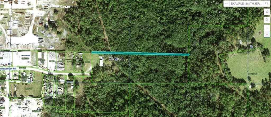 APPALOOSA HILL ROAD POLK CITY, FL 33868