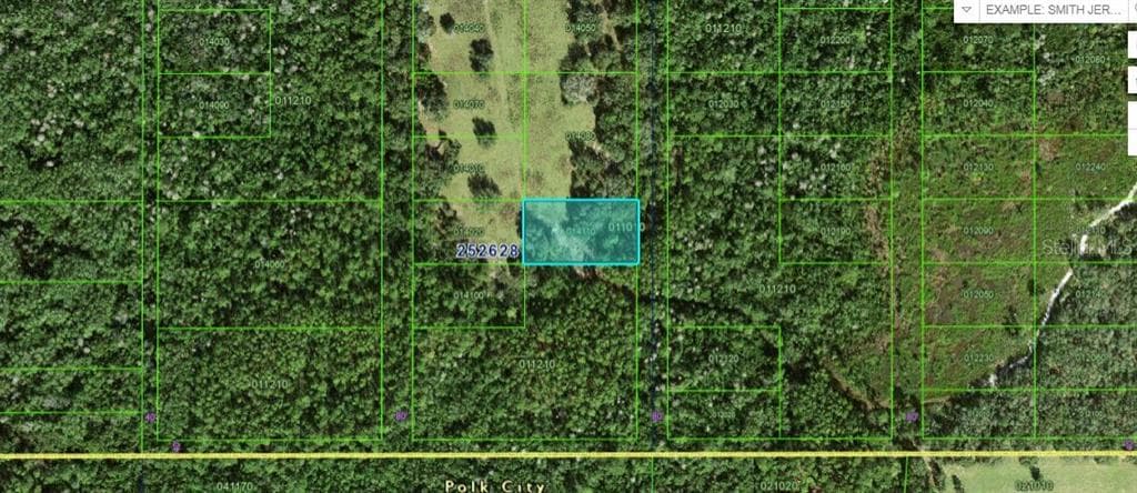 COMMONWEALTH AVE N POLK CITY, FL 33868