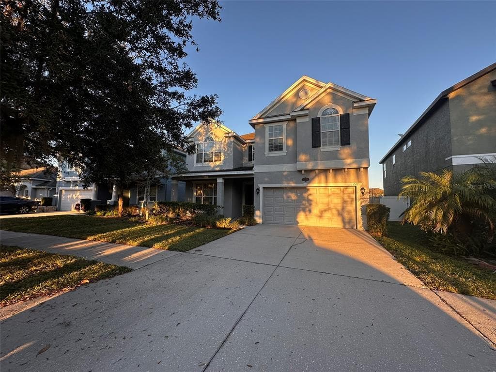 19229 EARLY VIOLET DRIVE TAMPA, FL 33647