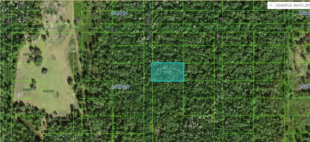 COMMONWEALTH AVE N POLK CITY, FL 33868