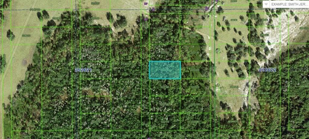 COMMONWEALTH AVE N AVENUE N POLK CITY, FL 33868