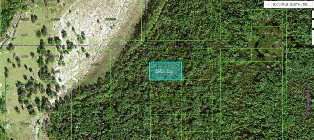 COMMONWEALTH AVE N POLK CITY, FL 33868