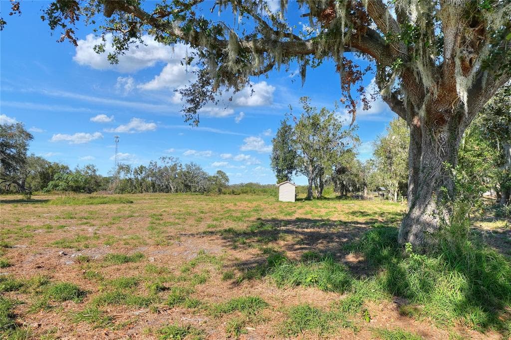 17744 BLEDSOE LOOP LITHIA, FL 33547