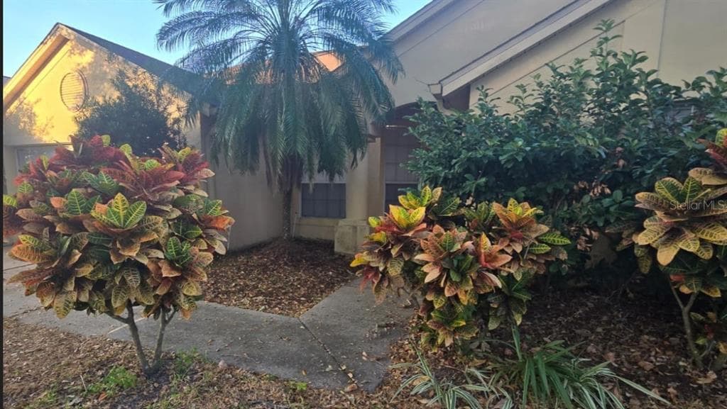 6501 APPALOOSA DRIVE TAMPA, FL 33625
