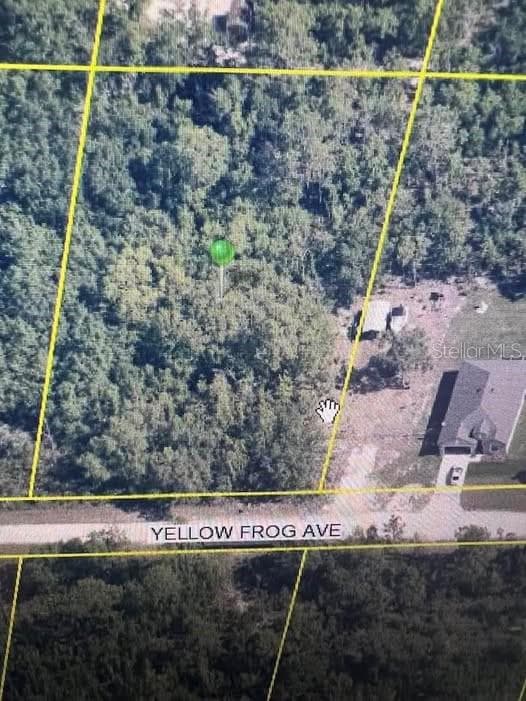 10193 YELLOW FROG AVENUE WEEKI WACHEE, FL 34614