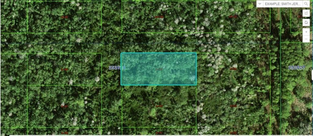 COMMONWEALTH AVE N POLK CITY, FL 33868