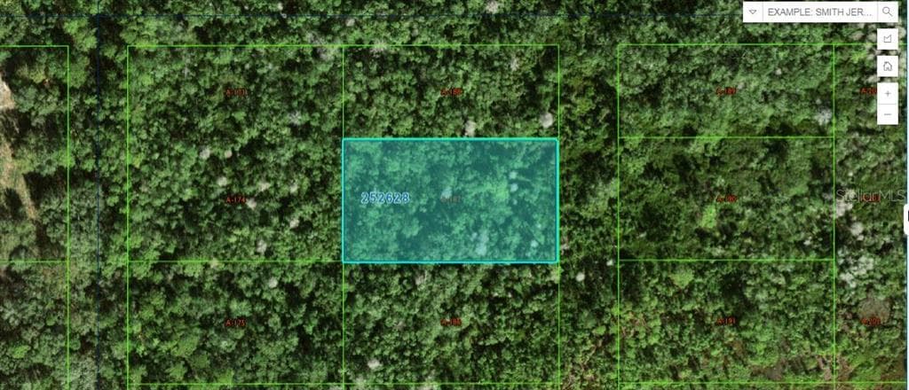 COMMONWEALTH AVE N POLK CITY, FL 33868