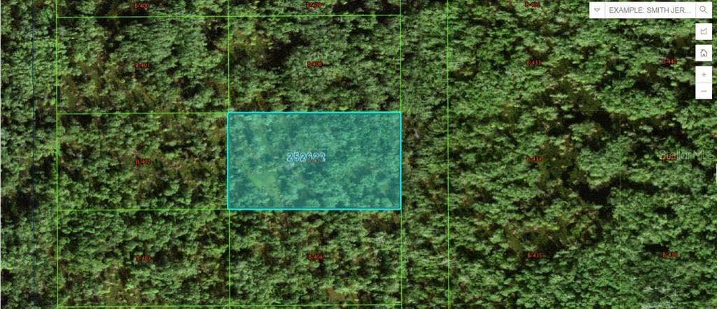 COMMONWEALTH AVE N POLK CITY, FL 33868