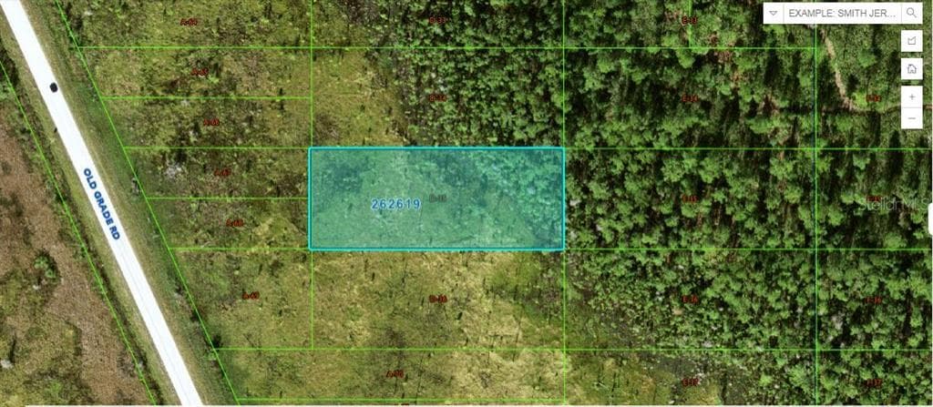OLD GRADE ROAD POLK CITY, FL 33868
