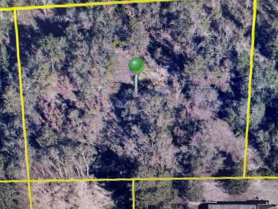 13210 SPRUCE GROUSE AVENUE BROOKSVILLE, FL 34614