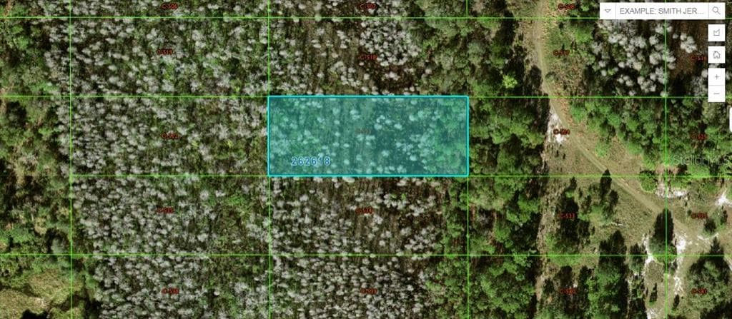 OLD GRADE RD POLK CITY, FL 33868