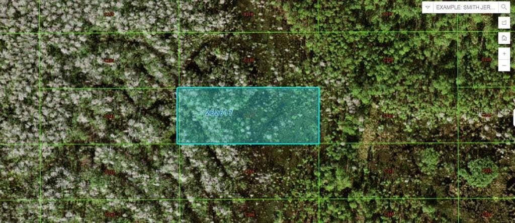 OLD GRADE RD POLK CITY, FL 33868