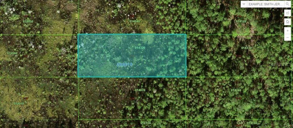OLD GRADE RD POLK CITY, FL 33868
