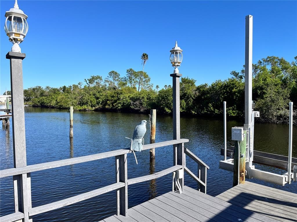 6833 MOUNT ORANGE DRIVE NE UNIT 392 ST PETERSBURG, FL 33702