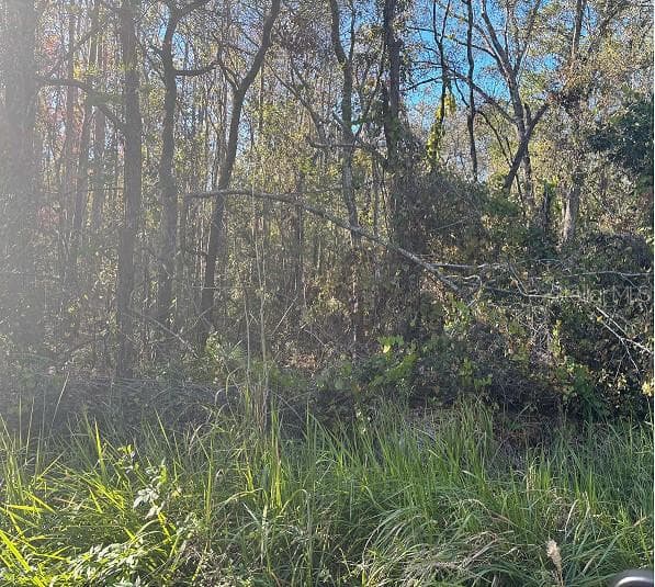 0 JUNGLE STREET NEW PORT RICHEY, FL 34654