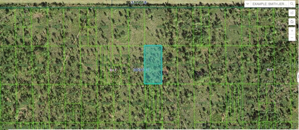 N/A LAKE WALES, FL 33898