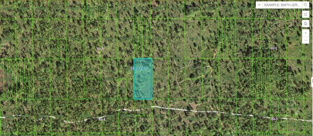 60 E STREET LAKE WALES, FL 33898