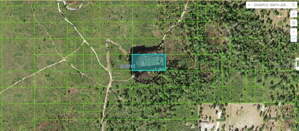 TIGER LAKE RD LAKE WALES, FL 33898
