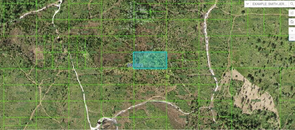 TIGER LAKE RD LAKE WALES, FL 33898