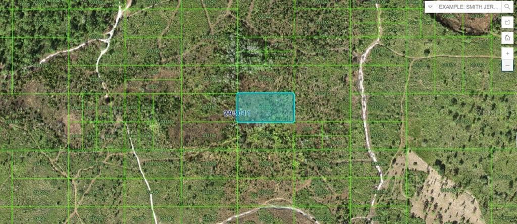 TIGER LAKE RD LAKE WALES, FL 33898