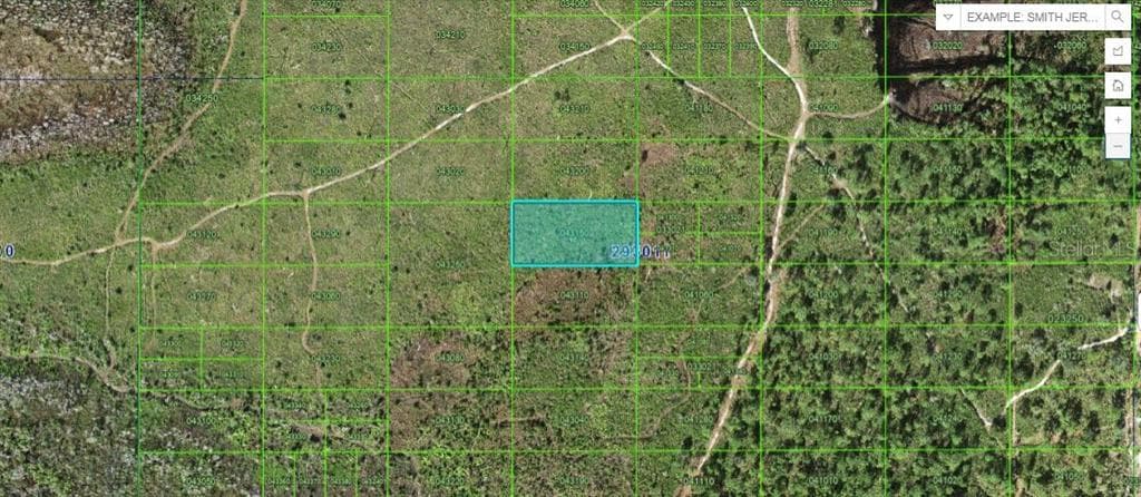 TIGER LAKE ROAD LAKE WALES, FL 33898