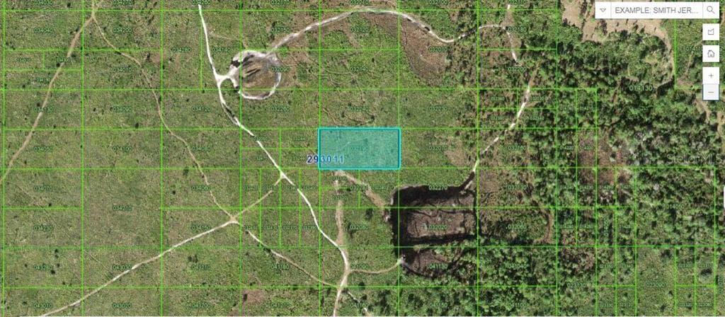 TIGER LAKE ROAD LAKE WALES, FL 33898