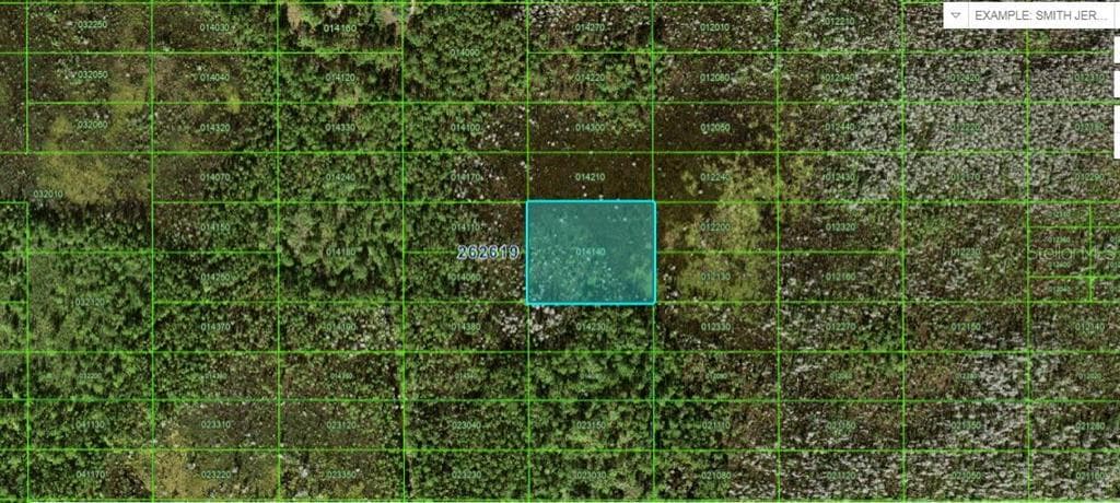 OLD GRADE ROAD POLK CITY, FL 33868