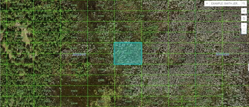 OLD GRADE RD POLK CITY, FL 33868