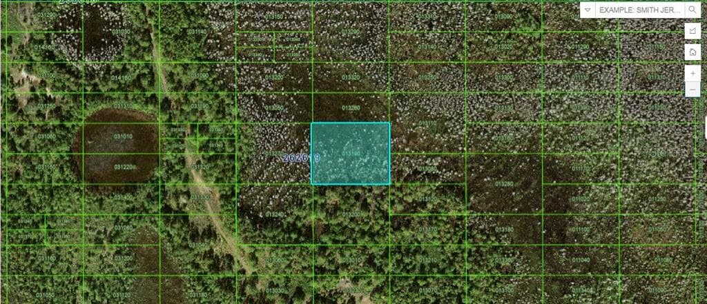 OLD GRADE RD POLK CITY, FL 33868