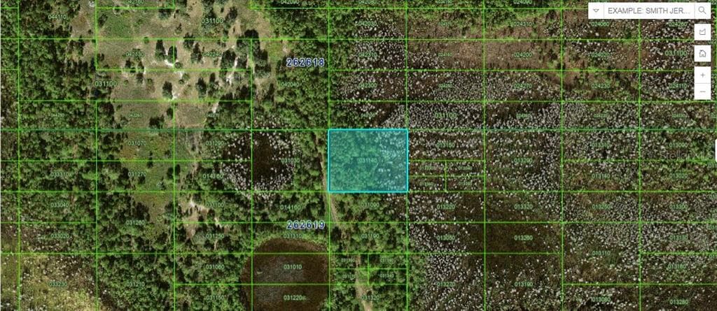 OLD GRADE RD POLK CITY, FL 33868