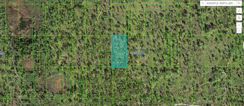 N/A LAKE WALES, FL 33898