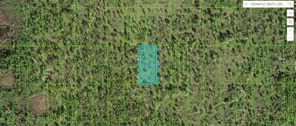 SHADY OAKS DR LAKE WALES, FL 33898