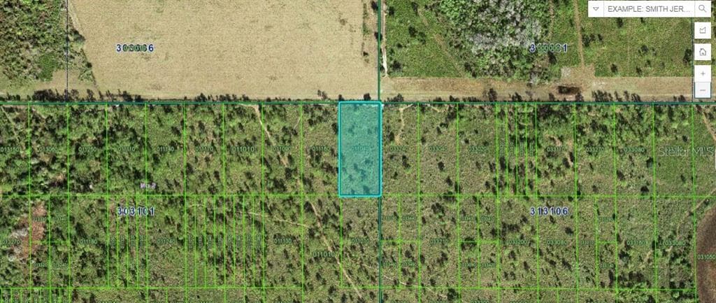 SHADY OAKS DR LAKE WALES, FL 33898