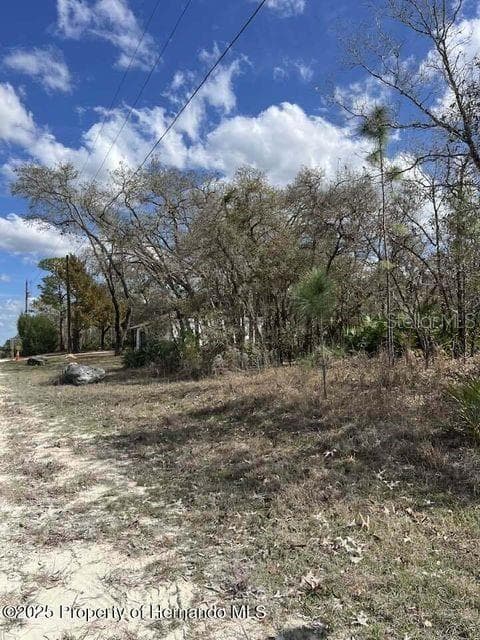 10180 ZEBRAFINCH AVENUE WEEKI WACHEE, FL 34614