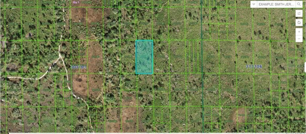 SHADY OAKS DR LAKE WALES, FL 33898