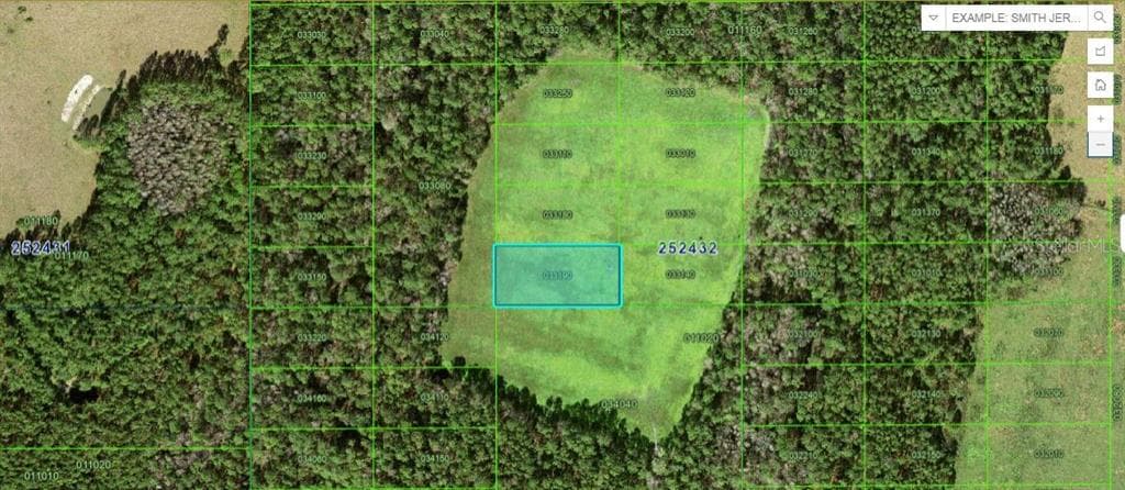 DOUBLE DIAMOND DR POLK CITY, FL 33868