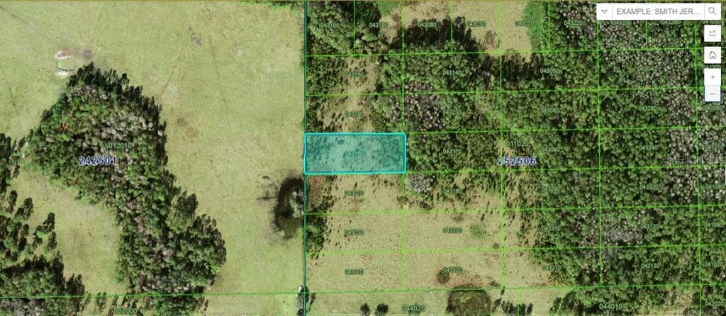 JUDY ROAD POLK CITY, FL 33868