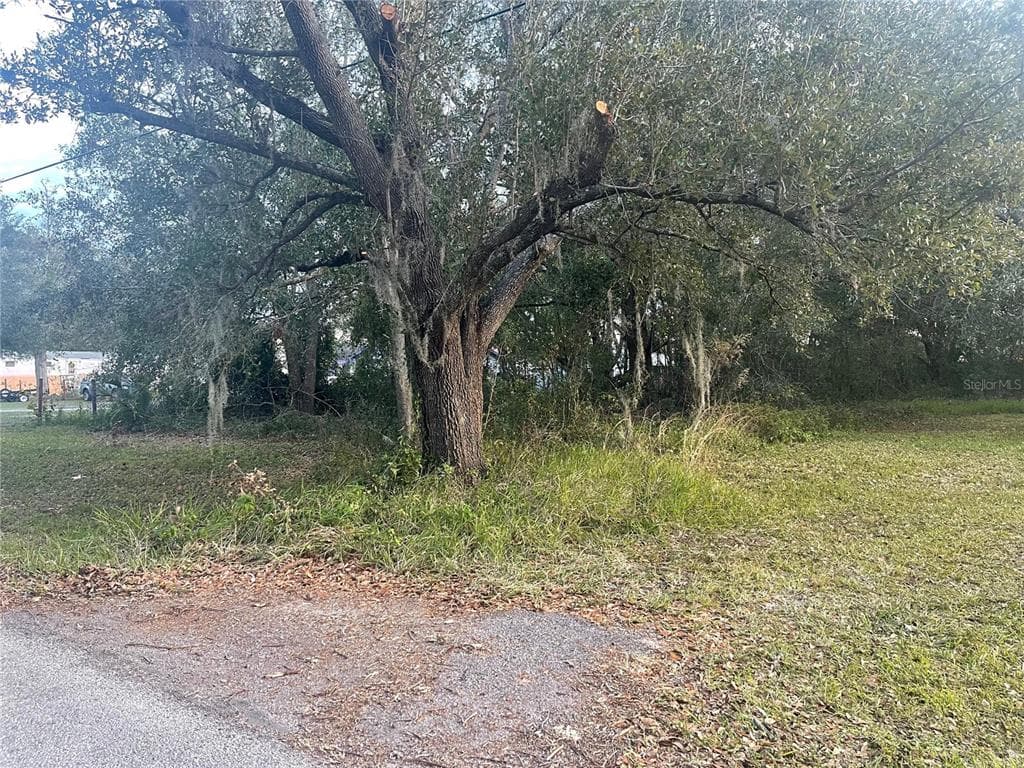 26346 FOAMFLOWER BOULEVARD WESLEY CHAPEL, FL 33544