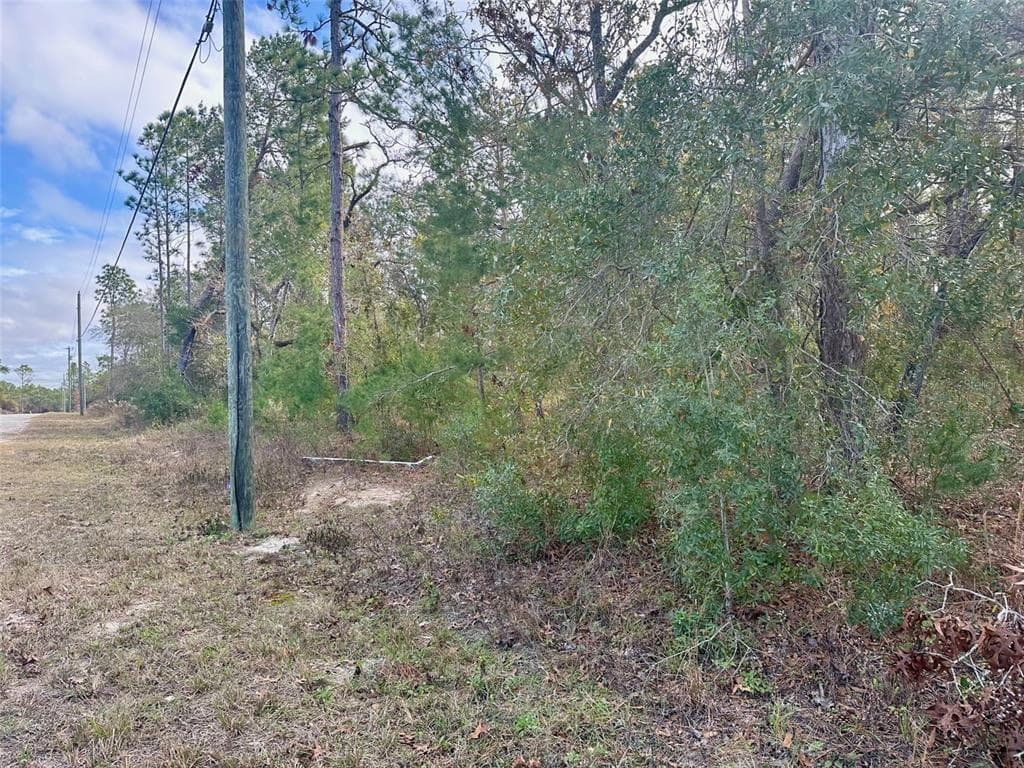 13320 POTOMAC AVENUE BROOKSVILLE, FL 34614