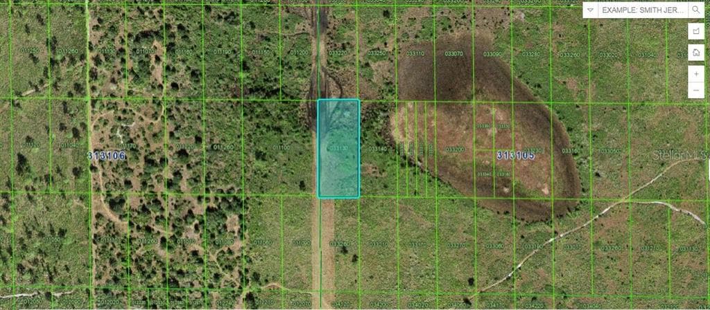 SHADY OAKS DR LAKE WALES, FL 33898