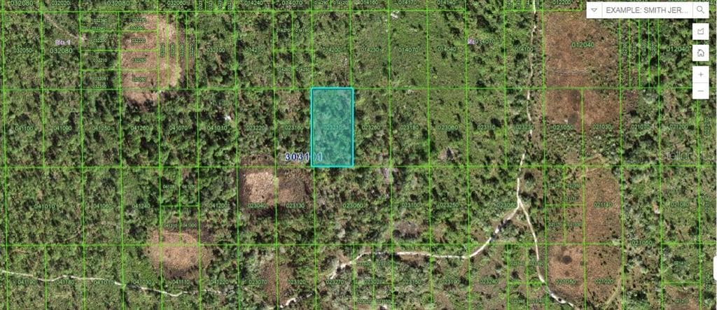 60 E STREET LAKE WALES, FL 33898
