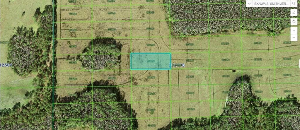 GREEN POND RD POLK CITY, FL 33868