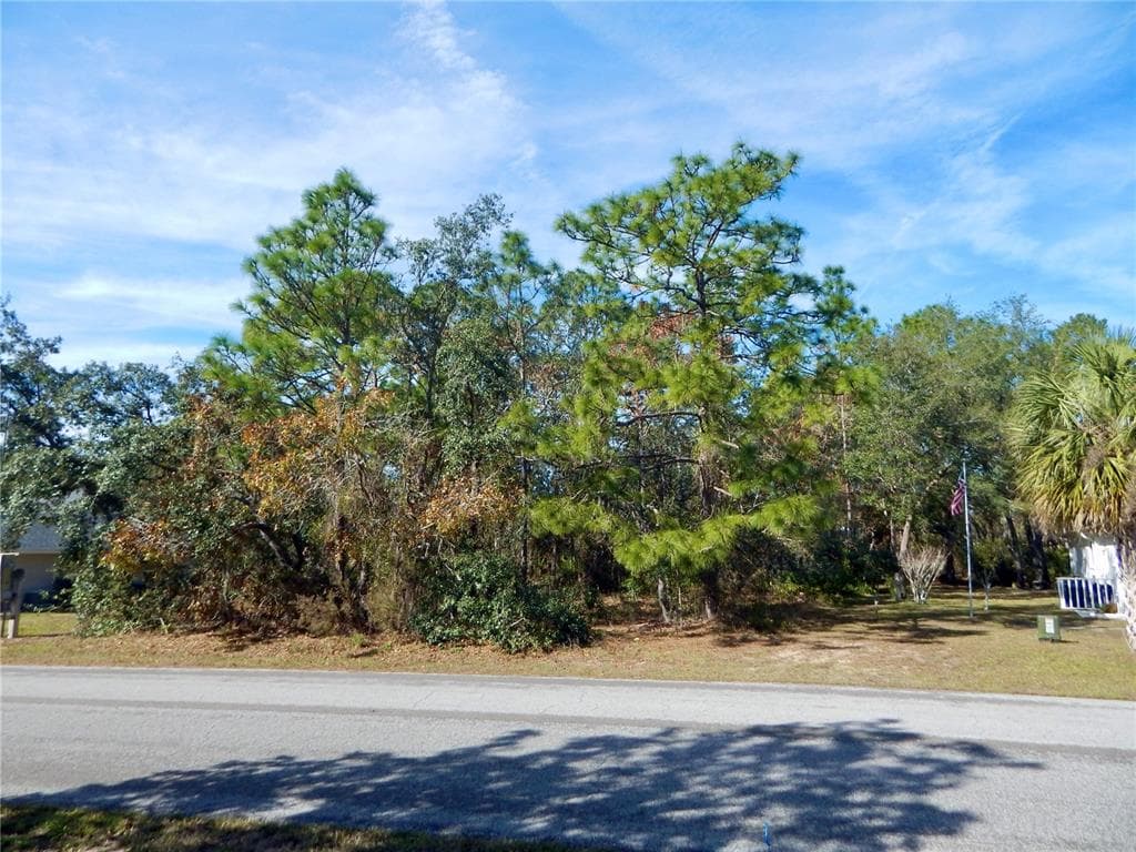 37 SPECEBERRY CIRCLE HOMOSASSA, FL 34446