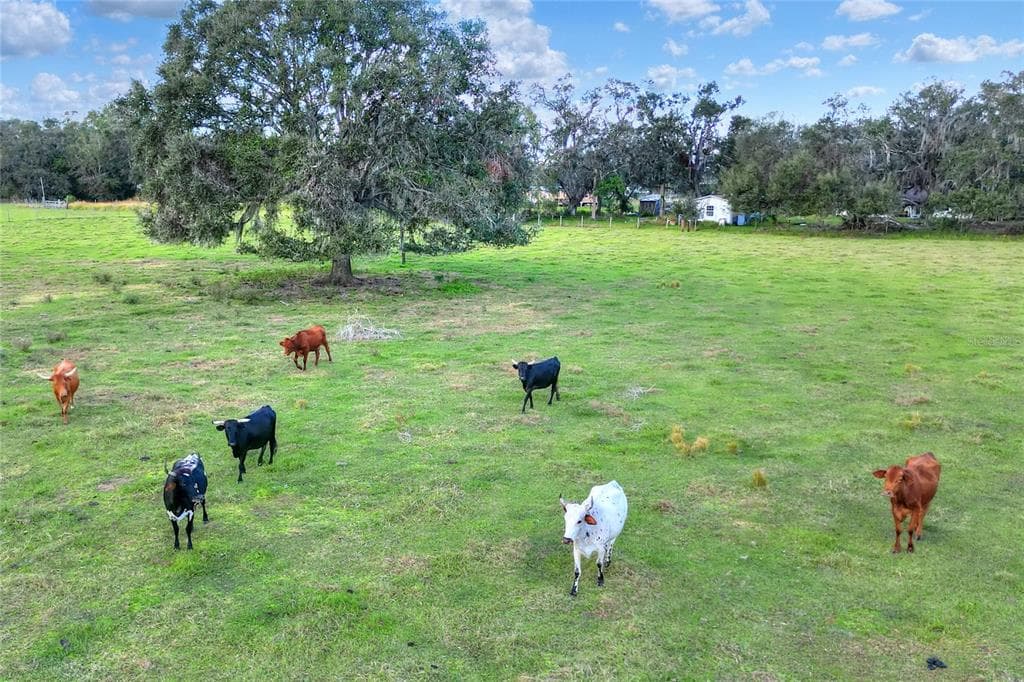 0 CORBETT LITHIA, FL 33547