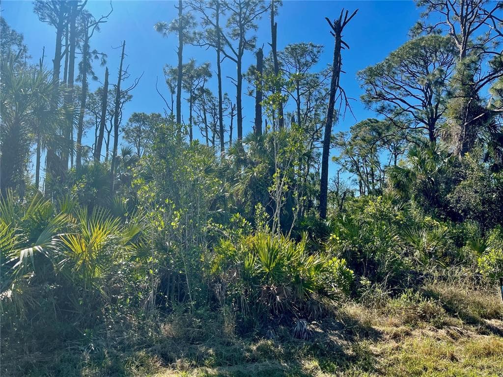 12021 ATOLL AVENUE PORT CHARLOTTE, FL 33981