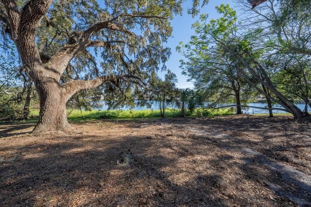 1221 LAKESIDE DRIVE BRANDON, FL 33510