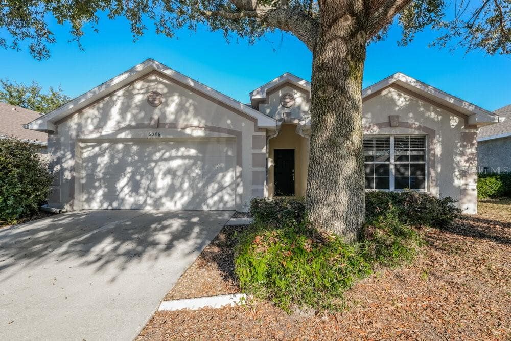 6046 DESERT PEACE AVENUE LAND O LAKES, FL 34639